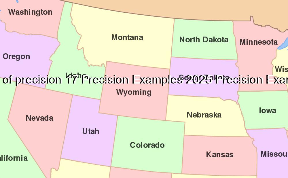 what is the definition of precision 17 Precision Examples 2025 Precision Examples And Definition